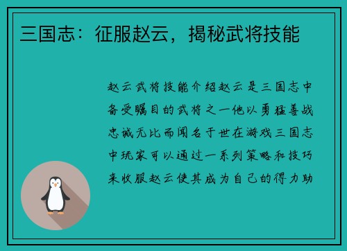 三国志：征服赵云，揭秘武将技能